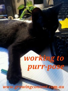 Working to Purr-